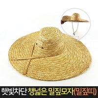 햇빛