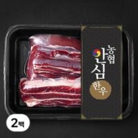 농협안심한우 사태 1+등급 수육 장조림용 (냉장), 300g, 2팩