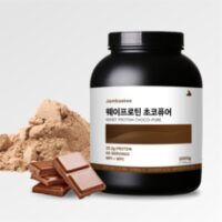 잠백이 헬스 단백질 보충제 웨이 프로틴 WPI WPC 초코 2kg, 초코맛 2kg, 1개