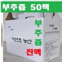 부추즙진액 50팩(115ml)/k자연노지 부추 통채로 갈아만든 진액, 120ml, 50팩