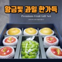 [메리네마켓] 메론 샤인머스켓 사과 배 망고 애플망고 혼합 과일 고급 선물세트 회사 부모님 지인 명절선물 백화점 납품용, 혼합 프리미엄 B [보자기포함]