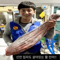 신안 임자도 민어회 (1접시~8kg), 8kg, 원물, 1개