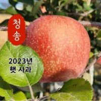 [산지직송 당도선별] 햇사과 청송 꿀 사과 2kg 3kg 5kg 10kg [정품 가정용], 03. 가정용 5kg, 1개