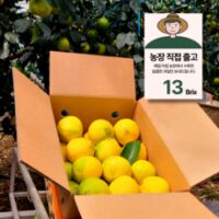 제주 직판 13brix 황금향 감귤, 1박스, 5kg