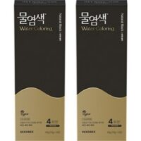 씨드비 물염색 비건 새치커버 염색약 40g 4회분, 내추럴블랙, 2개