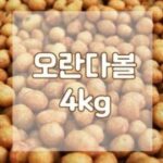 오란다볼 추천 상품 오란다볼 4kg 퍼핑콩 오란다알알이, 1개 외 TOP7