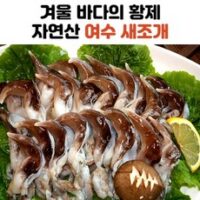 당일손질 자연산 여수 새조개 2kg 실중량 500g 내외, 1개