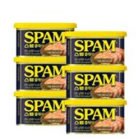 맛있는 CJ 스팸 클래식 200g 6캔 SPAM classic, 6개, 6개, 상세페이지 참조 외 스팸hw호 추천 상품 TOP 7가지