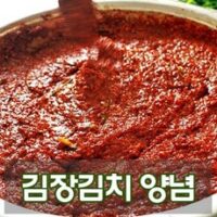 김치속 추천 상품 [당일 배송] 국산 김장 김치 양념, 10kg, 1개 외 TOP7