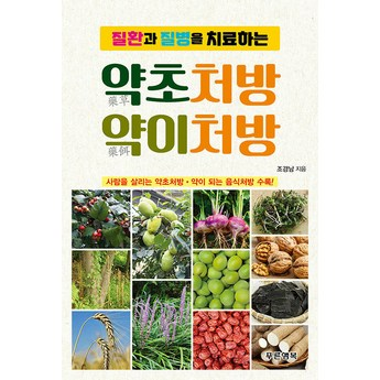 과일의 힘: 산림 치유, 다양한 용도의 고급 상품 4가지 비교 분석