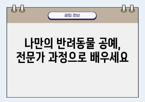 나만의 반려동물 공예, 시작해볼까요? | 반려동물 공예지도사, 취업, 교육, 자격증, 커리큘럼