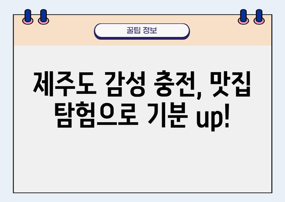 제주도 공항 근처, 감성 충전 맛집 탐험 | 제주도 여행, 맛집 추천, 공항 근처 맛집