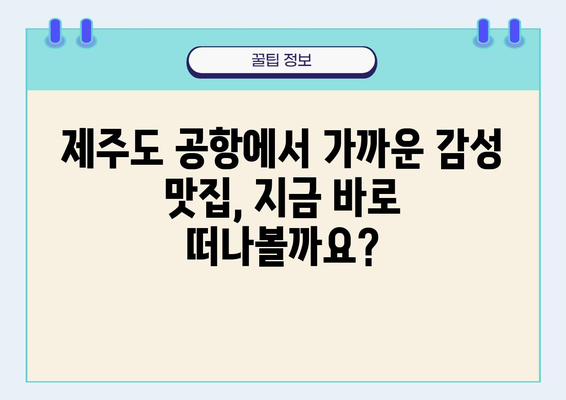 제주도 공항 근처, 감성 충전 맛집 탐험 | 제주도 여행, 맛집 추천, 공항 근처 맛집