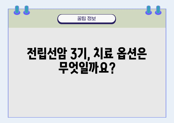 전립선암 3기 진단, 이제 어떻게 해야 할까요? | 치료, 완화, 삶의 질, 정보