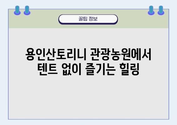 텐트 없이 캠핑? 용인산토리니 관광농원에서 즐기는 편안한 힐링 | 경기도 캠핑, 글램핑, 가족여행, 숙박