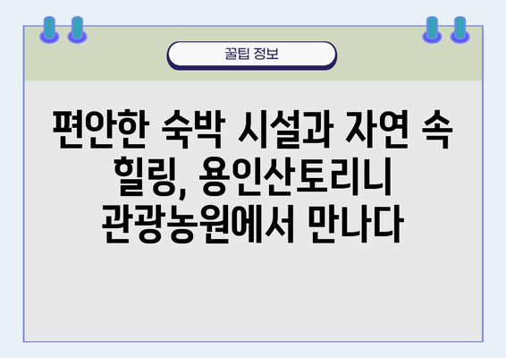 텐트 없이 캠핑? 용인산토리니 관광농원에서 즐기는 편안한 힐링 | 경기도 캠핑, 글램핑, 가족여행, 숙박