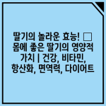 딸기의 놀라운 효능! 🍓 몸에 좋은 딸기의 영양적 가치 | 건강, 비타민, 항산화, 면역력, 다이어트