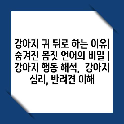 강아지 귀 뒤로 하는 이유| 숨겨진 몸짓 언어의 비밀 | 강아지 행동 해석,  강아지 심리, 반려견 이해