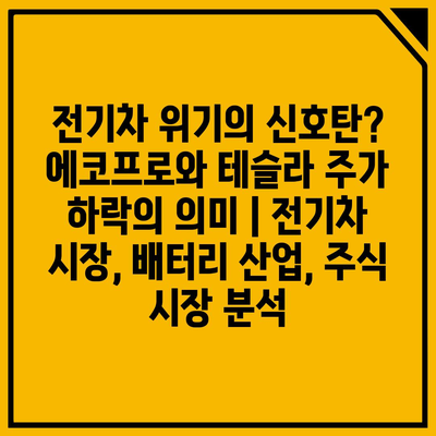 전기차 위기의 신호탄? 에코프로와 테슬라 주가 하락의 의미 | 전기차 시장, 배터리 산업, 주식 시장 분석