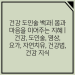 건강 도인술 백과| 몸과 마음을 이어주는 지혜 | 건강, 도인술, 명상, 요가, 자연치유, 건강법, 건강 지식