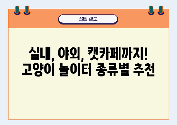 고양이 놀이터 탐험 가이드| 서울/경기 지역 추천 장소 5곳 | 고양이, 놀이터, 실내, 야외, 캣카페, 냥스타그램