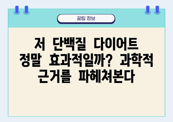 비만에 대한 흔한 오해, 과학적으로 파헤치다 | 비만, 건강, 다이어트, 오해, 진실