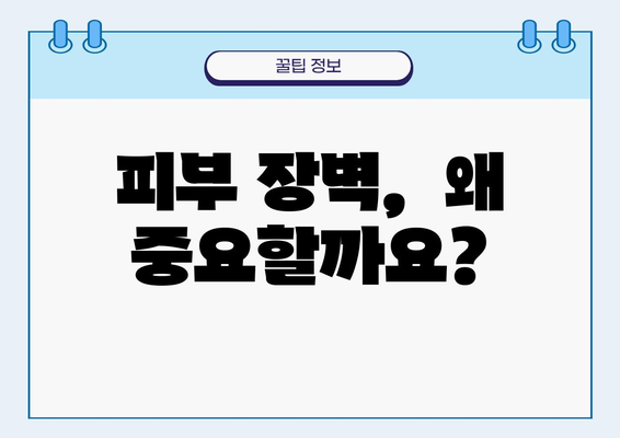 피부 장벽 강화에 도움되는 영양제| 몸에 좋은 원료로 구성된 5가지 추천 | 건강한 피부, 튼튼한 장벽, 영양제 추천, 피부 건강