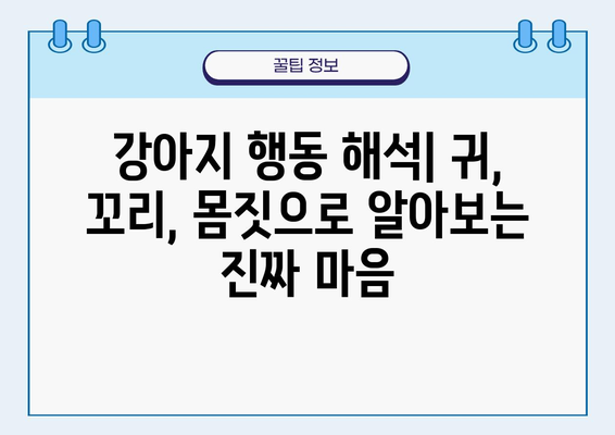 강아지 귀 뒤로 하는 이유| 숨겨진 몸짓 언어의 비밀 | 강아지 행동 해석,  강아지 심리, 반려견 이해