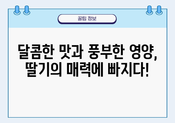 딸기의 놀라운 효능! 🍓 몸에 좋은 딸기의 영양적 가치 | 건강, 비타민, 항산화, 면역력, 다이어트