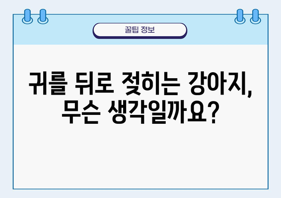 강아지 귀 뒤로 하는 이유| 숨겨진 몸짓 언어의 비밀 | 강아지 행동 해석,  강아지 심리, 반려견 이해