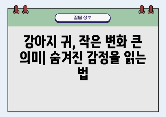 강아지 귀 뒤로 하는 이유| 숨겨진 몸짓 언어의 비밀 | 강아지 행동 해석,  강아지 심리, 반려견 이해