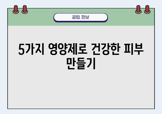 피부 장벽 강화에 도움되는 영양제| 몸에 좋은 원료로 구성된 5가지 추천 | 건강한 피부, 튼튼한 장벽, 영양제 추천, 피부 건강