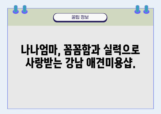 애견미용나나엄마| 믿을 수 있는 강남 애견미용샵 | 강남, 애견미용, 나나엄마, 강아지 미용, 미용샵 추천