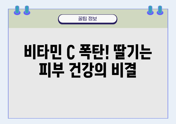 딸기의 놀라운 효능! 🍓 몸에 좋은 딸기의 영양적 가치 | 건강, 비타민, 항산화, 면역력, 다이어트