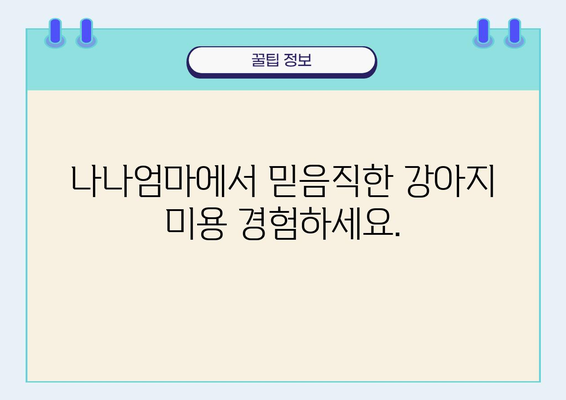 애견미용나나엄마| 믿을 수 있는 강남 애견미용샵 | 강남, 애견미용, 나나엄마, 강아지 미용, 미용샵 추천