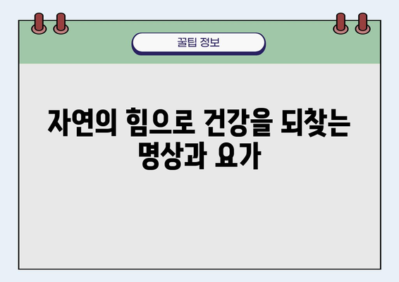 건강 도인술 백과| 몸과 마음을 이어주는 지혜 | 건강, 도인술, 명상, 요가, 자연치유, 건강법, 건강 지식