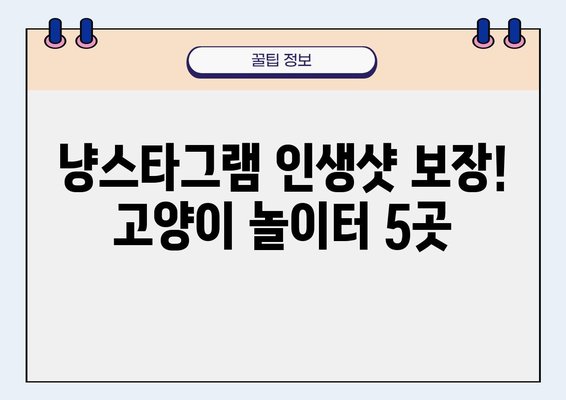 고양이 놀이터 탐험 가이드| 서울/경기 지역 추천 장소 5곳 | 고양이, 놀이터, 실내, 야외, 캣카페, 냥스타그램