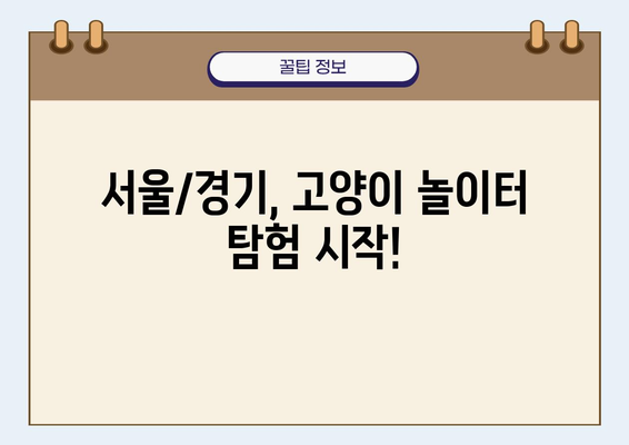 고양이 놀이터 탐험 가이드| 서울/경기 지역 추천 장소 5곳 | 고양이, 놀이터, 실내, 야외, 캣카페, 냥스타그램