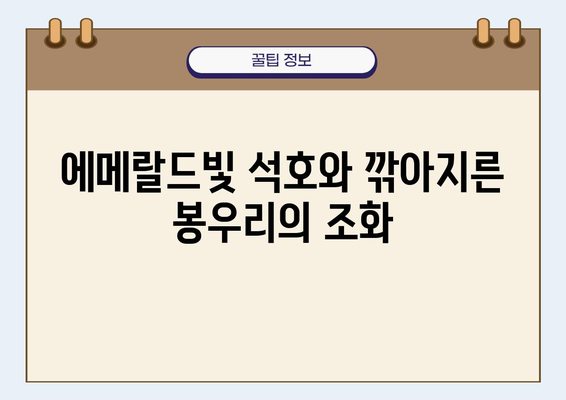 하롱 베이의 숨 막힐 듯 아름다운 석회암 봉우리와 석호| 베트남 자연의 걸작 | 하롱베이, 석회암, 석호, 풍경, 여행